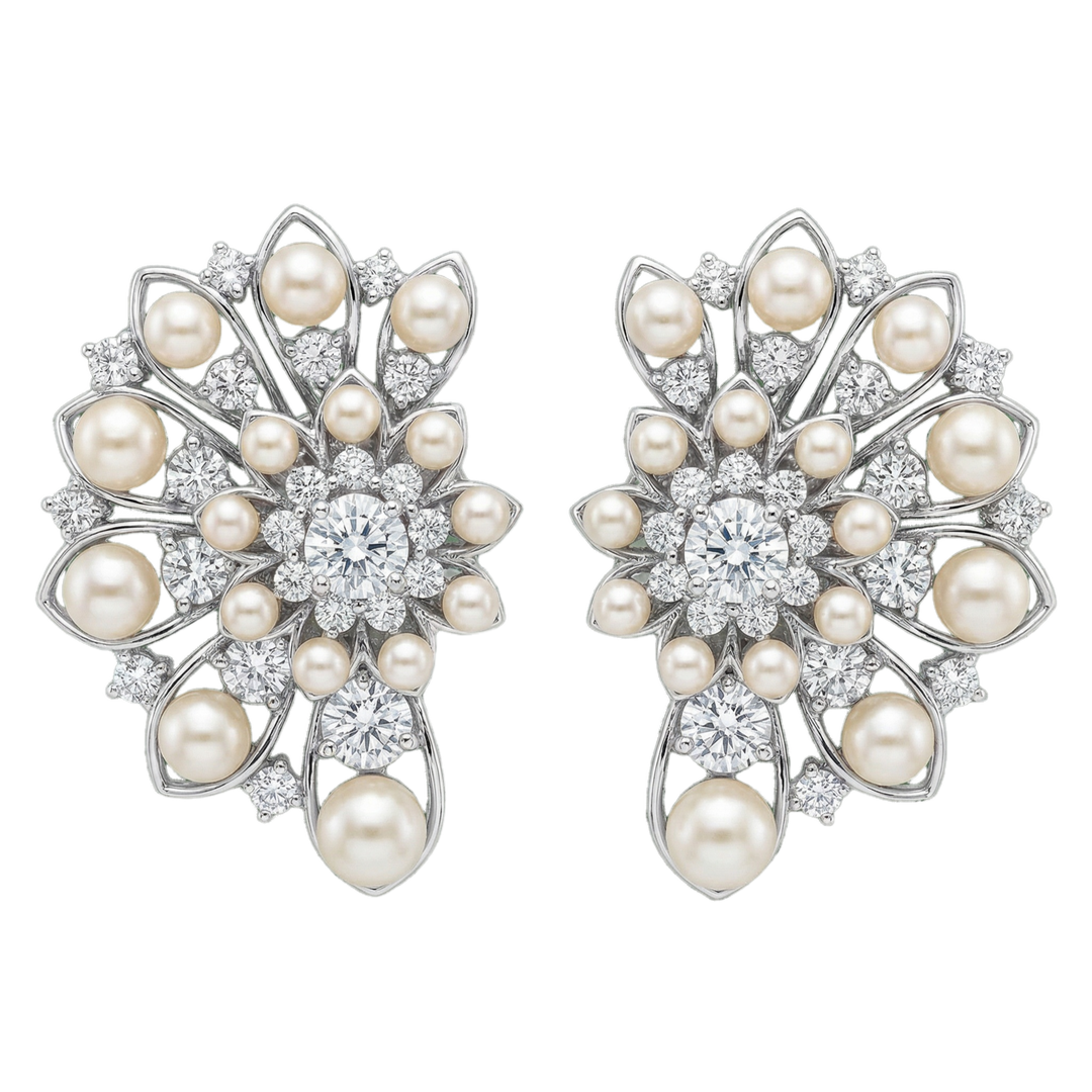 Pears & Diamonds Burst earrings in Silver | Hero.png